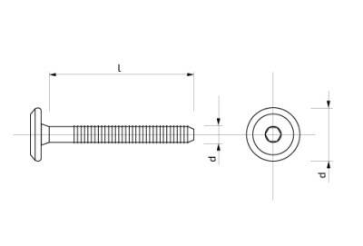 Šroub s plochou hlavou na imbus 17 mm 6x 70 mm Zn